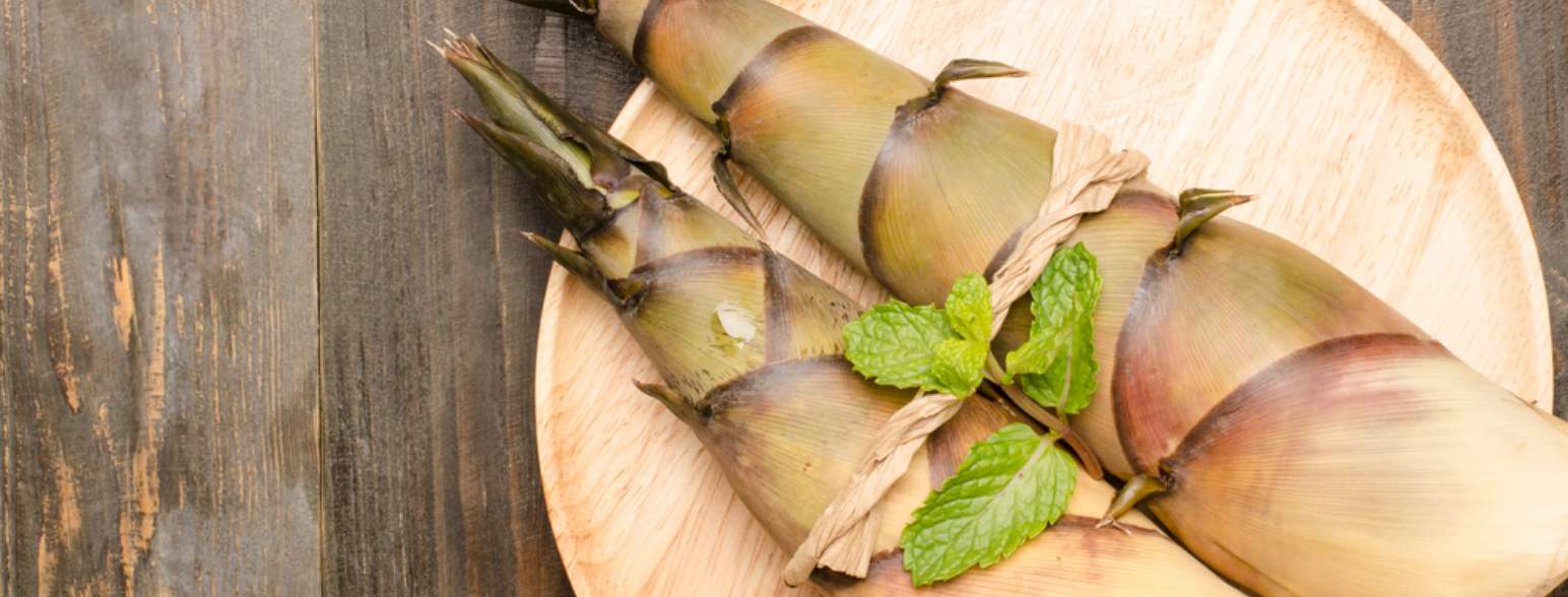 Very tasty Otaki bamboo shoots!