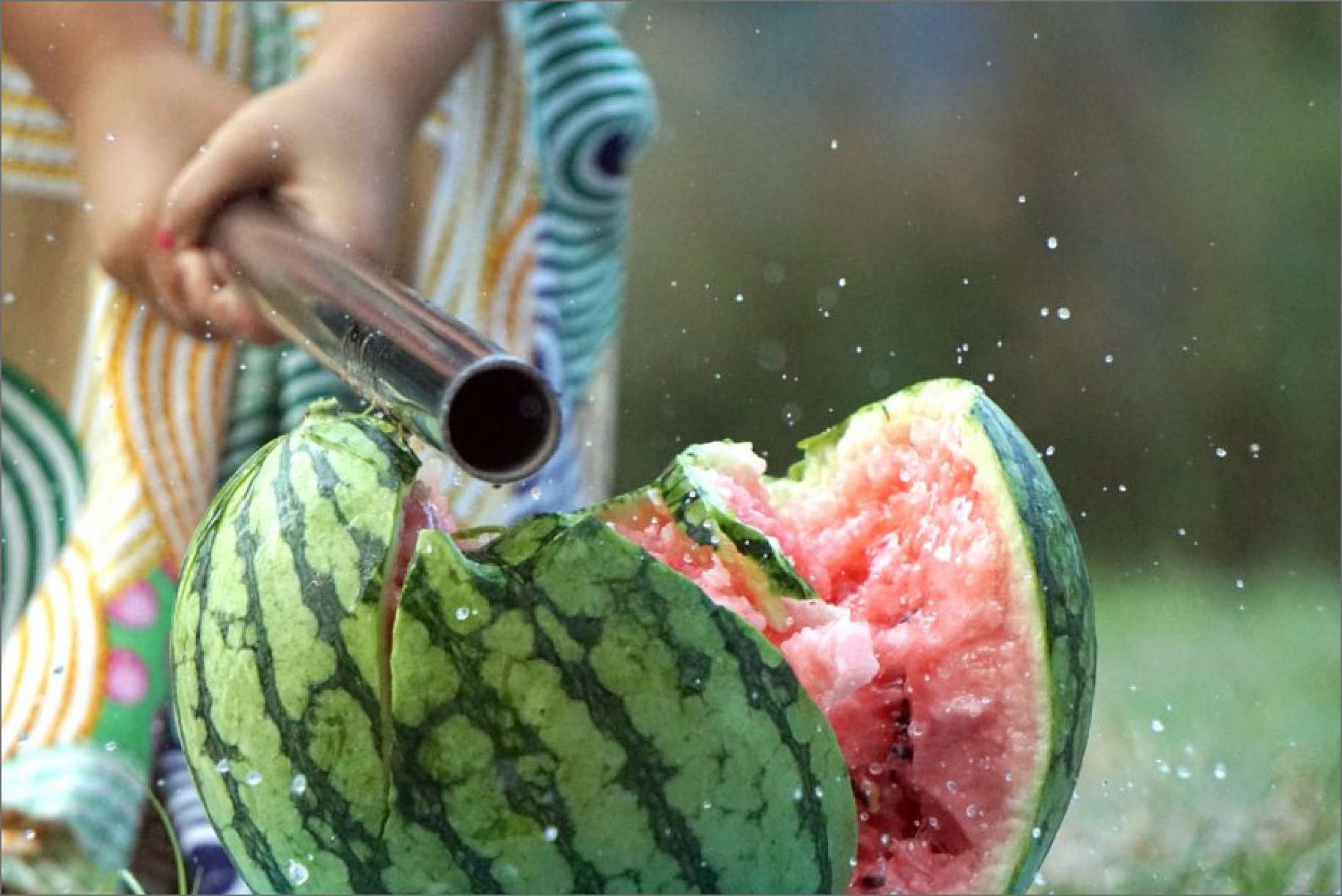 Watermelon splitting experience