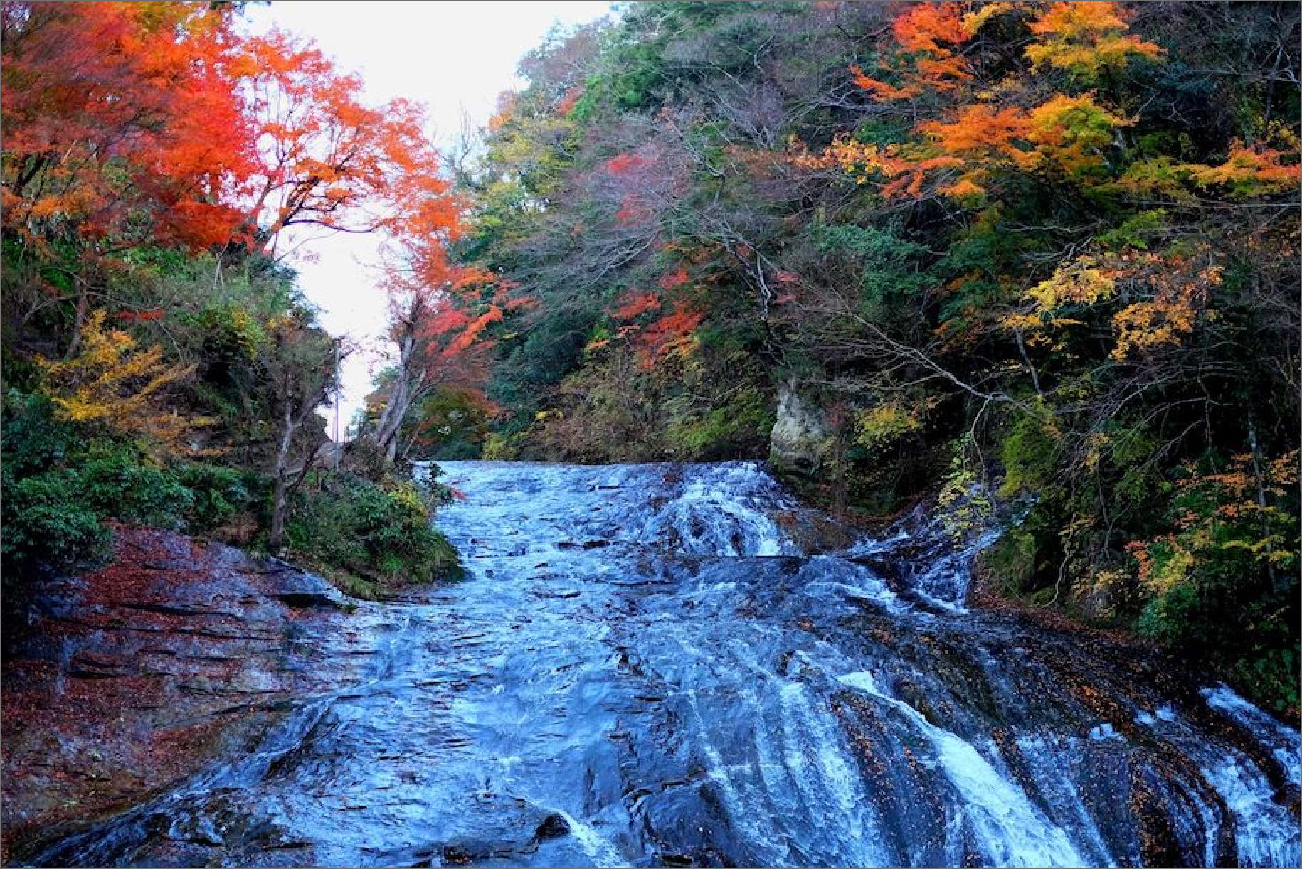 Yoro Gorge Autumn Foliage Tour